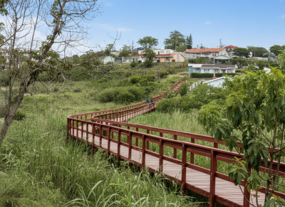 Nkomba Wetlands Walkway